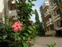 Living in Pune Images